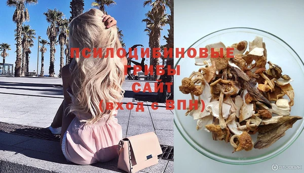 бошки Красноперекопск