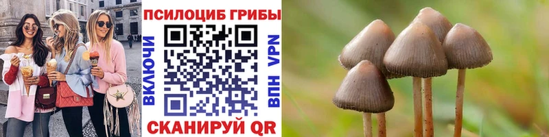 OMG ссылка купить Старая Купавна Галлюциногенные грибы ЛСД